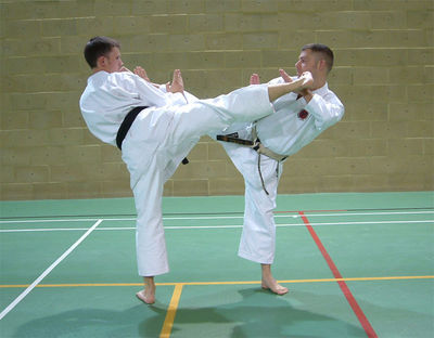 Mawashi Geri
